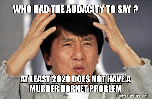 opera meme - Who Had The Audacity To Say ? At Least 2020 Does Not Have A Murder Hornet Problem makeameme.org