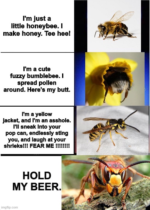 honey bee - I'm just a little honeybee. I make honey. Tee heel I'm a cute fuzzy bumblebee. I spread pollen around. Here's my butt. I'm a yellow Jacket, and I'm an asshole. I'll sneak into your pop can, endlessly sting you, and laugh at your shrieks!!! Fea