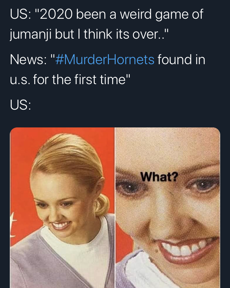 you don t have a skeleton inside you - Us "2020 been a weird game of jumanji but I think its over.." News " Hornets found in U.S. for the first time" Us What?