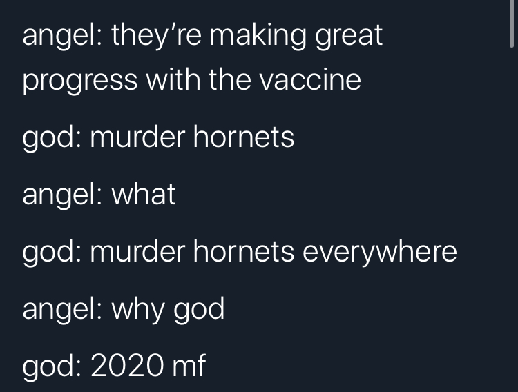 dance classics - angel they're making great progress with the vaccine god murder hornets angel what god murder hornets everywhere angel why god god 2020 mf