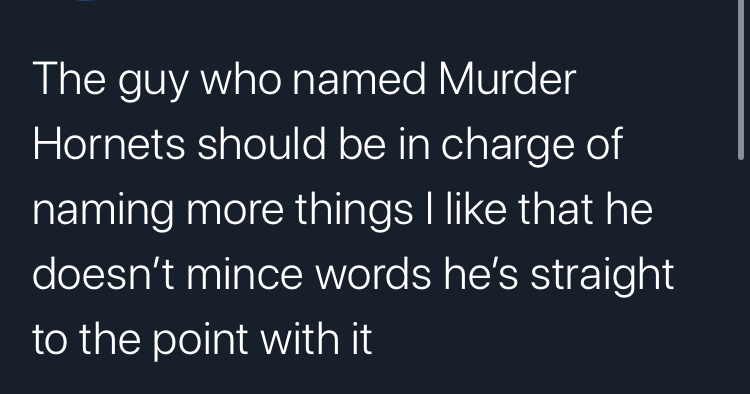 angle - The guy who named Murder Hornets should be in charge of naming more things I that he doesn't mince words he's straight to the point with it