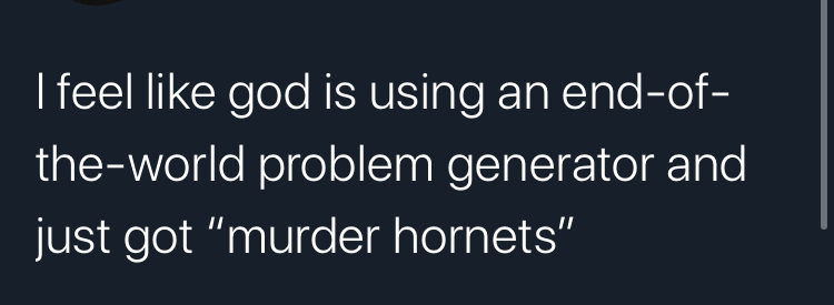 angle - I feel god is using an endof theworld problem generator and just got "murder hornets"