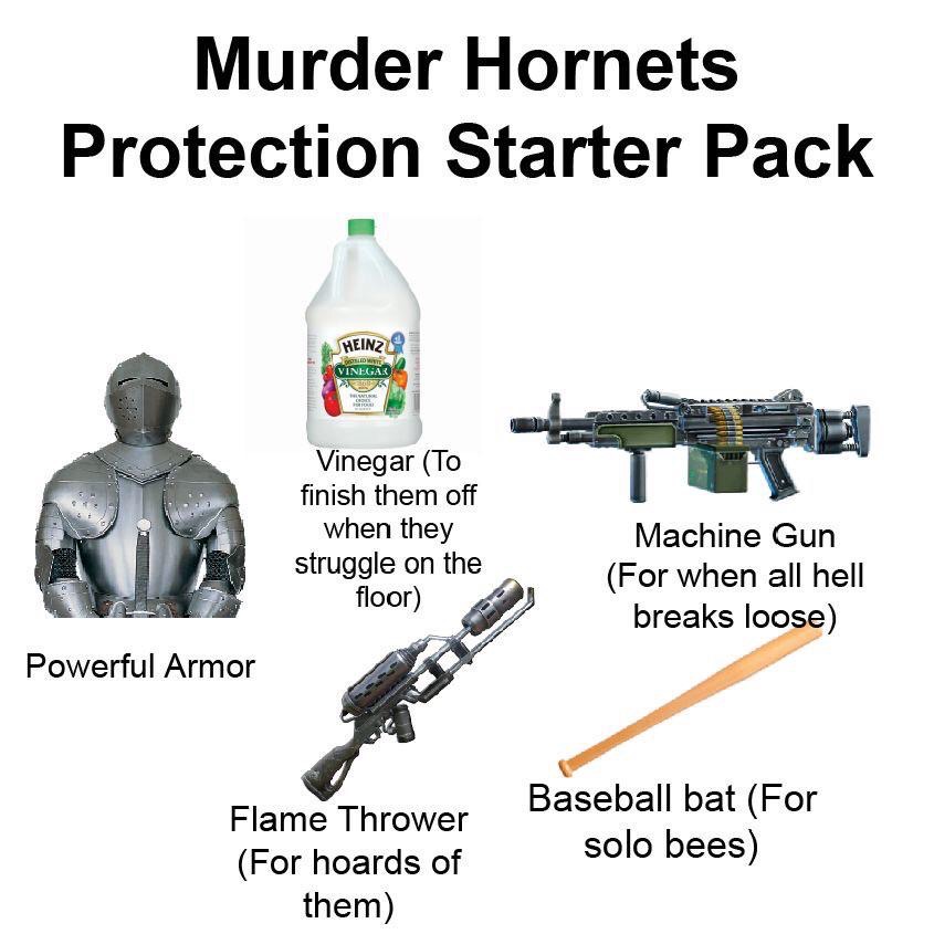 kaspersky - Murder Hornets Protection Starter Pack Heinz Vinegar Vinegar To finish them off when they struggle on the floor Machine Gun For when all hell breaks loose Powerful Armor Flame Thrower For hoards of them Baseball bat For solo bees