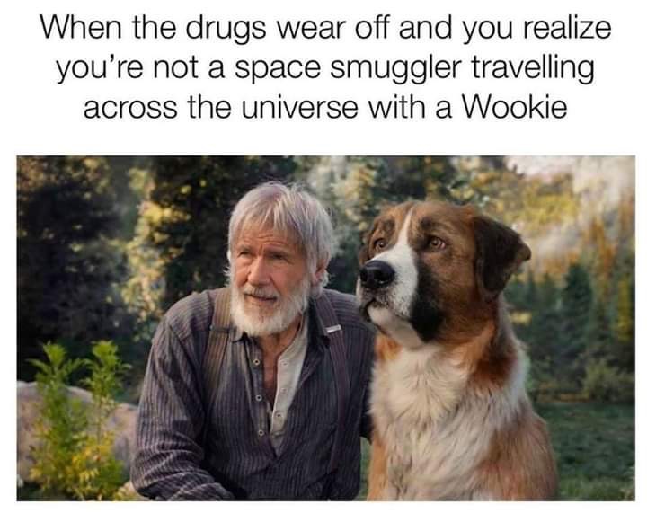 john thornton call of the wild - When the drugs wear off and you realize you're not a space smuggler travelling across the universe with a Wookie