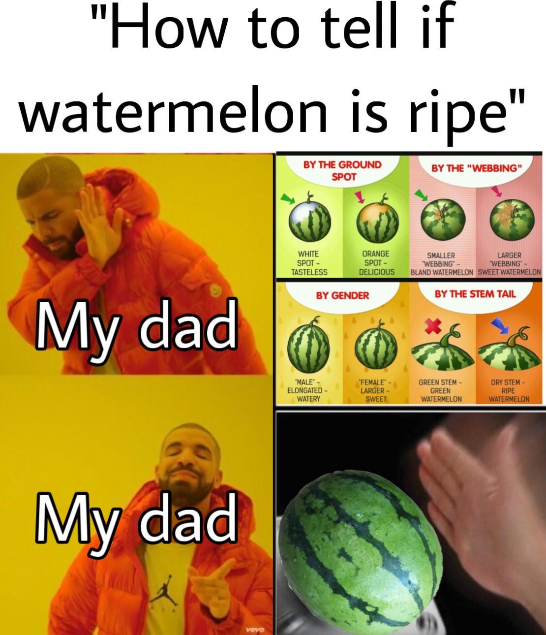 watermelon - "How to tell if watermelon is ripe" By The Ground Spot By The "Webbing" White Spot Tasteless Orange Spot Delicious Smaller Larger "Webbing" "Webbing" Bland Watermelon Sweet Watermelon By Gender By The Stem Tail My dad "Male Elongated Watery "