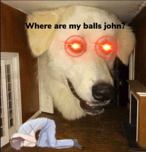 big boy dog meme - Where are my balls john?