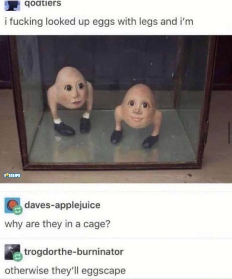 eggs with legs - qodtiers i fucking looked up eggs with legs and i'm Sclips davesapplejuice why are they in a cage? trogdortheburninator otherwise they'll eggscape