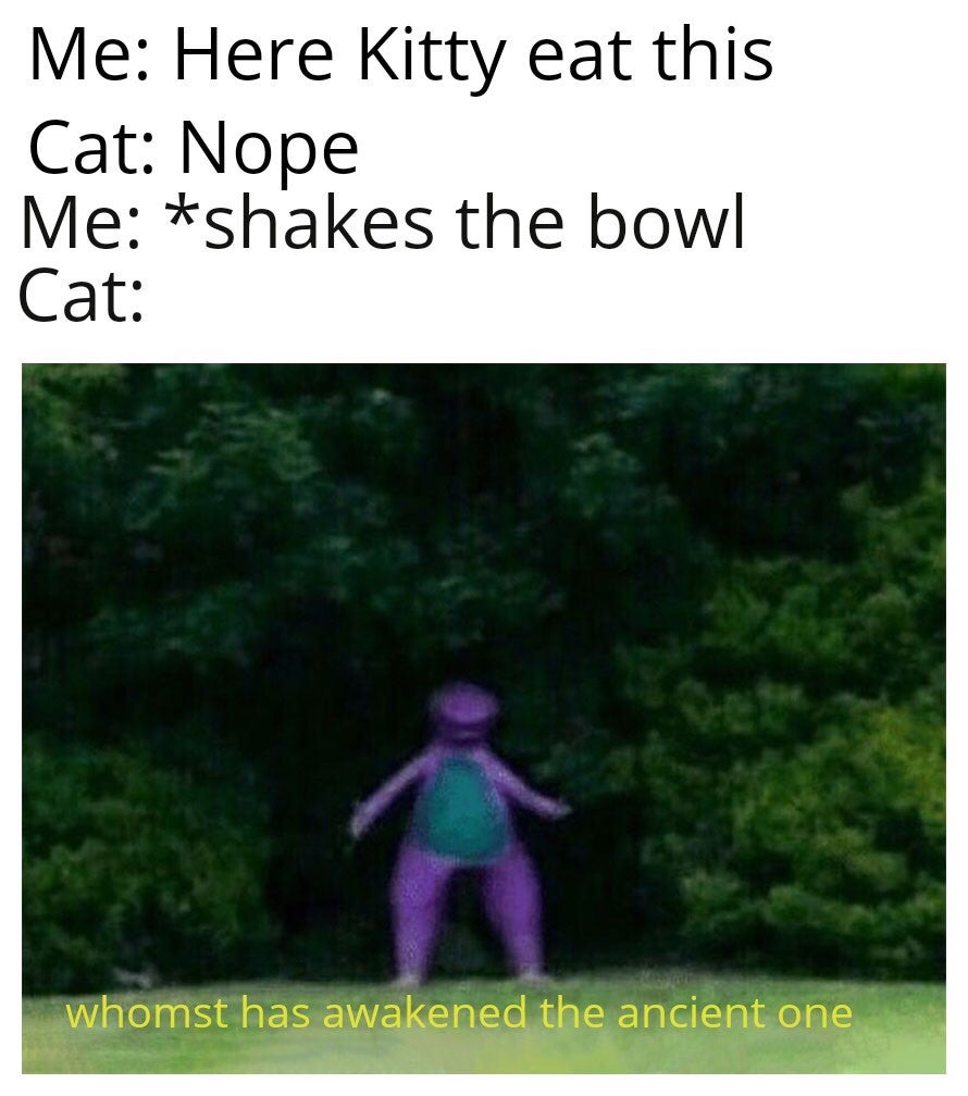 grass - Me Here Kitty eat this Cat Nope Me shakes the bowl Cat whomst has awakened the ancient one