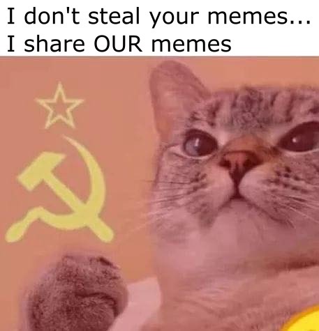 meows meme - I don't steal your memes... I Our memes