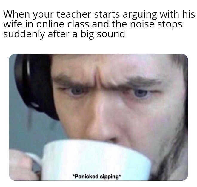 sweden ww2 memes - When your teacher starts arguing with his wife in online class and the noise stops suddenly after a big sound Panicked sipping