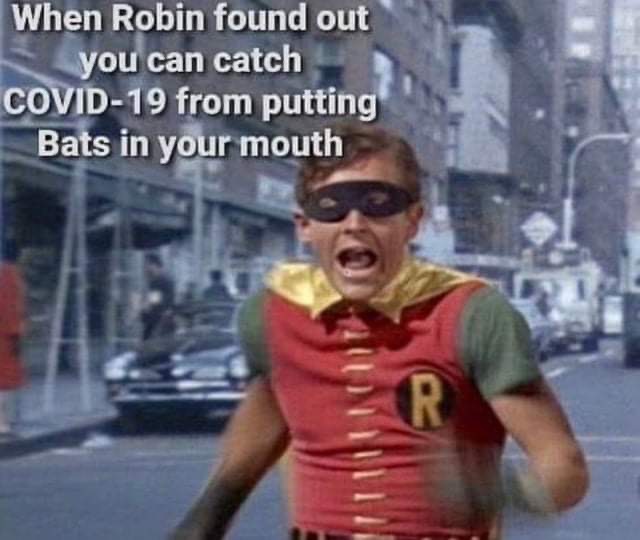 batman tv series - When Robin found out you can catch Covid19 from putting Bats in your mouth Ulit