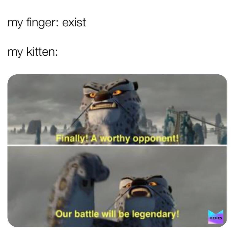 fight will be legendary - my finger exist my kitten Finally! A worthy opponent! Our battle will be legendary! Memes