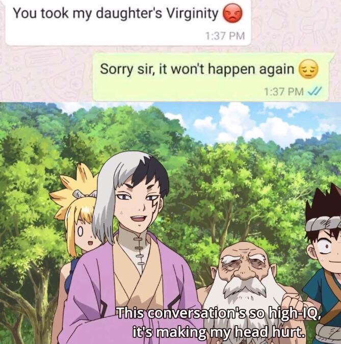 dr stone iq meme - You took my daughter's Virginity Sorry sir, it won't happen again Vi This conversation's so hightq, it's making my head hurt