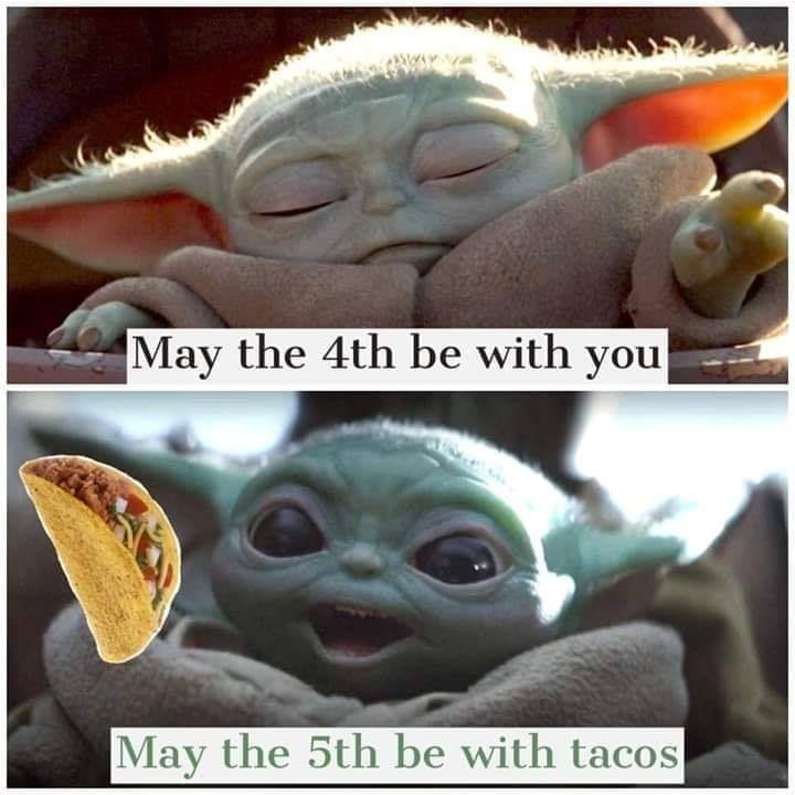baby yoda food meme - May the 4th be with you May the 5th be with tacos