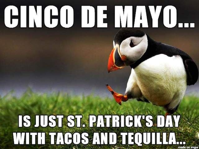 funny cinco de mayo memes - Cinco De Mayo... Is Just St. Patrick'S Day With Tacos And Tequilla... made on imgur