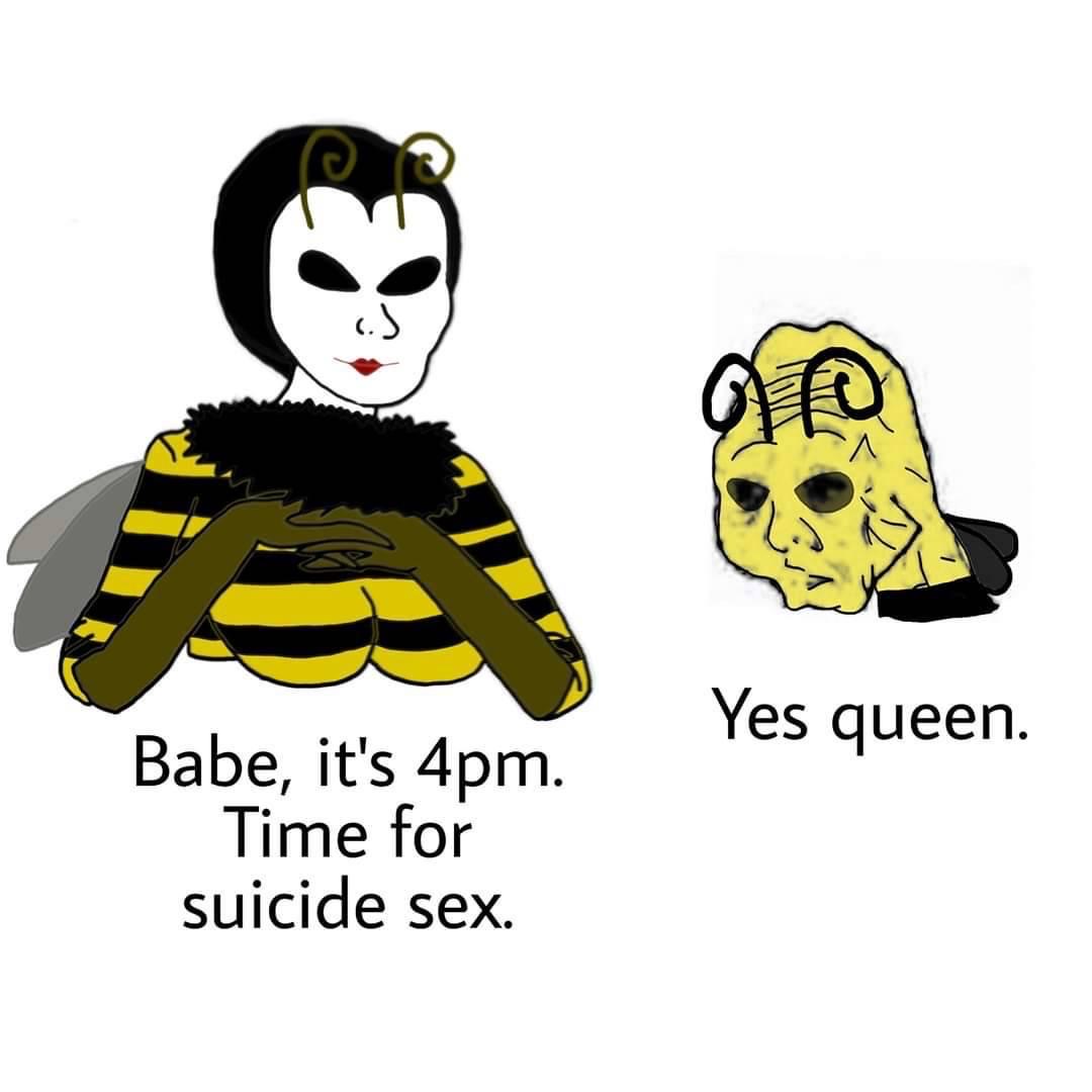 its 4pm meme - Ole Yes queen. Babe, it's 4pm. Time for suicide sex.