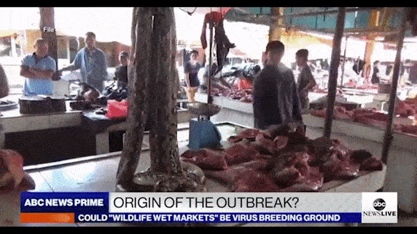 Abc News Prime Origin Of The Outbreak? Could Wildlife Wet Markets