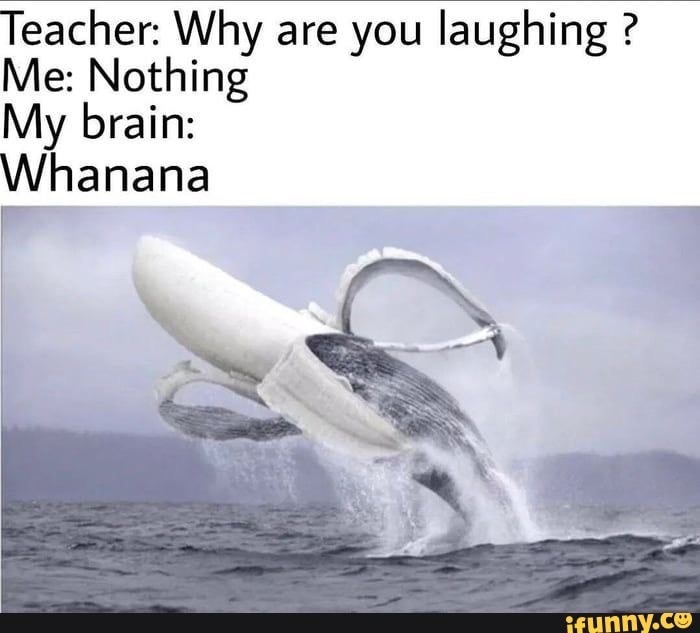 whanana meme - Teacher Why are you laughing ? Me Nothing My brain Whanana ifunny.co