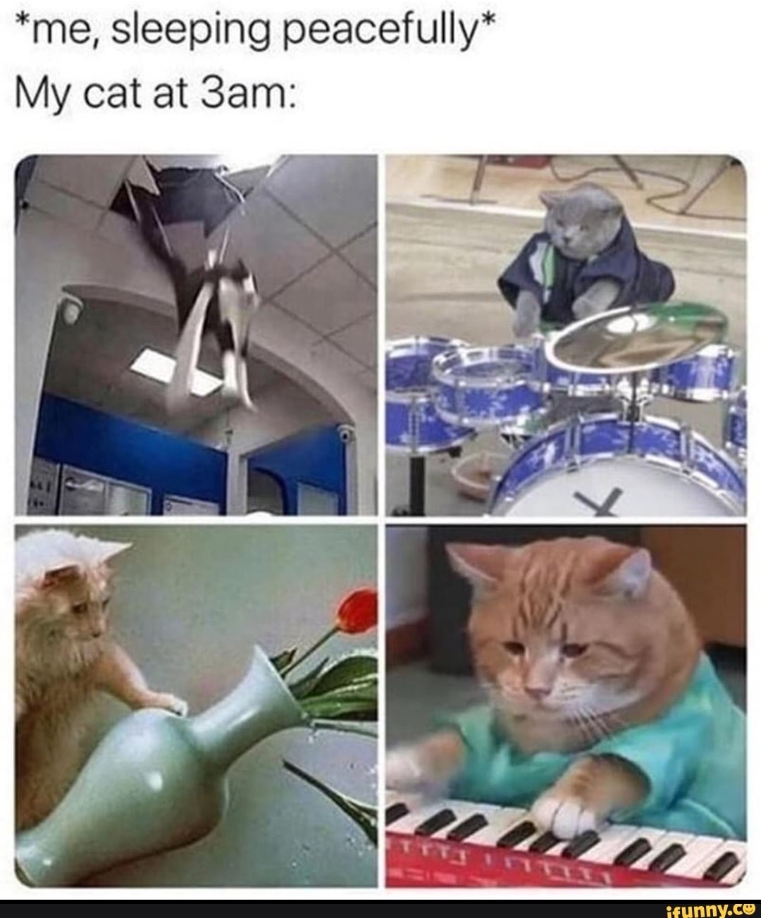 Internet meme - me, sleeping peacefully My cat at 3am ifunny.co