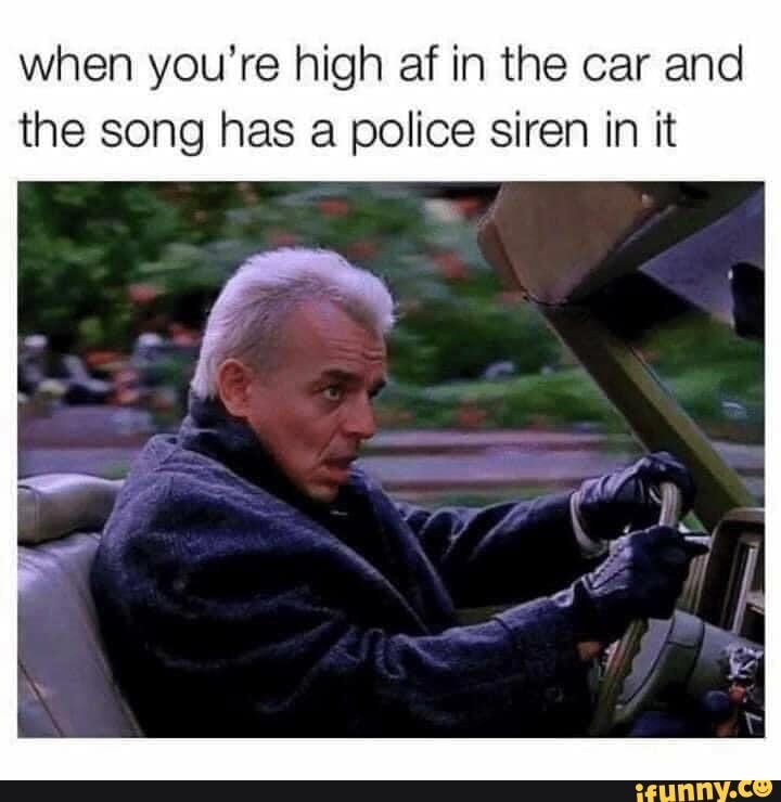 photo caption - when you're high af in the car and the song has a police siren in it ifunny.co