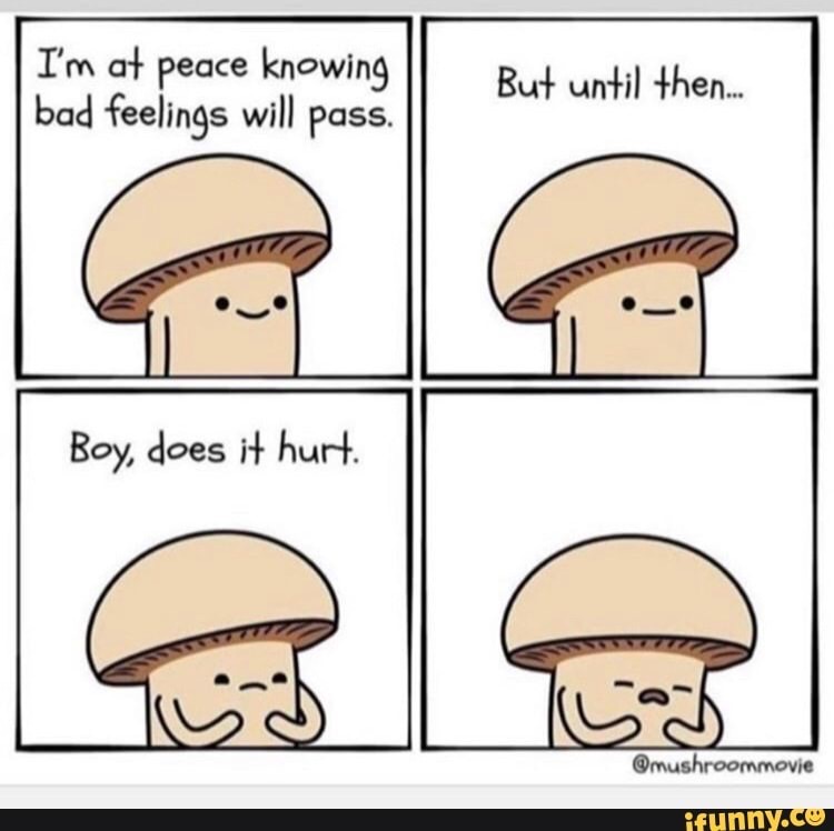 mushroom movie - I'm at peace knowing bad feelings will pass. But until then... Boy, does it hurt. ifunny.co