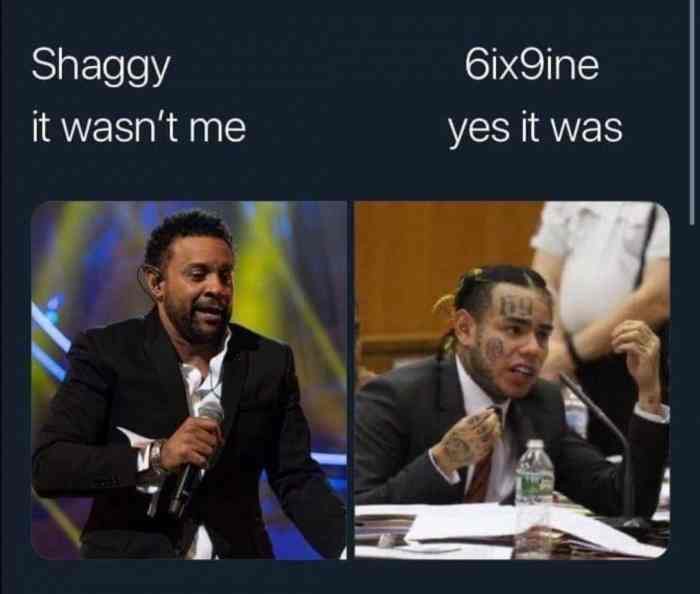 6ix9ine snitch memes - Shaggy it wasn't me 6ix9ine yes it was