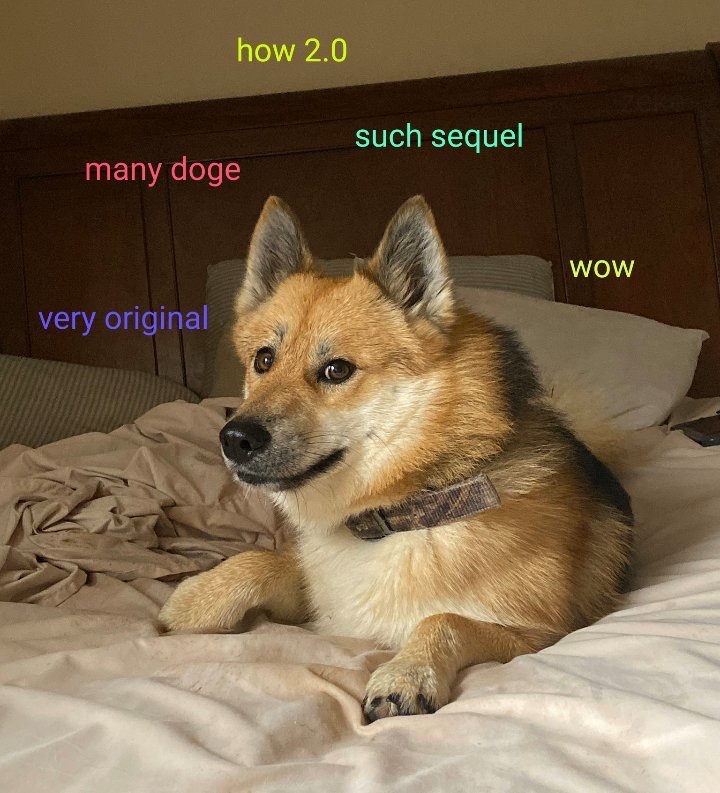 Spitz - how 2.0 such sequel many doge Wow very original