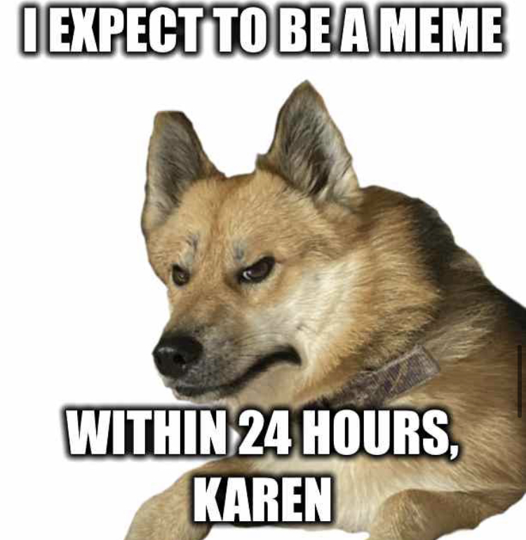 photo caption - I Expect To Be A Meme Within 24 Hours Karen