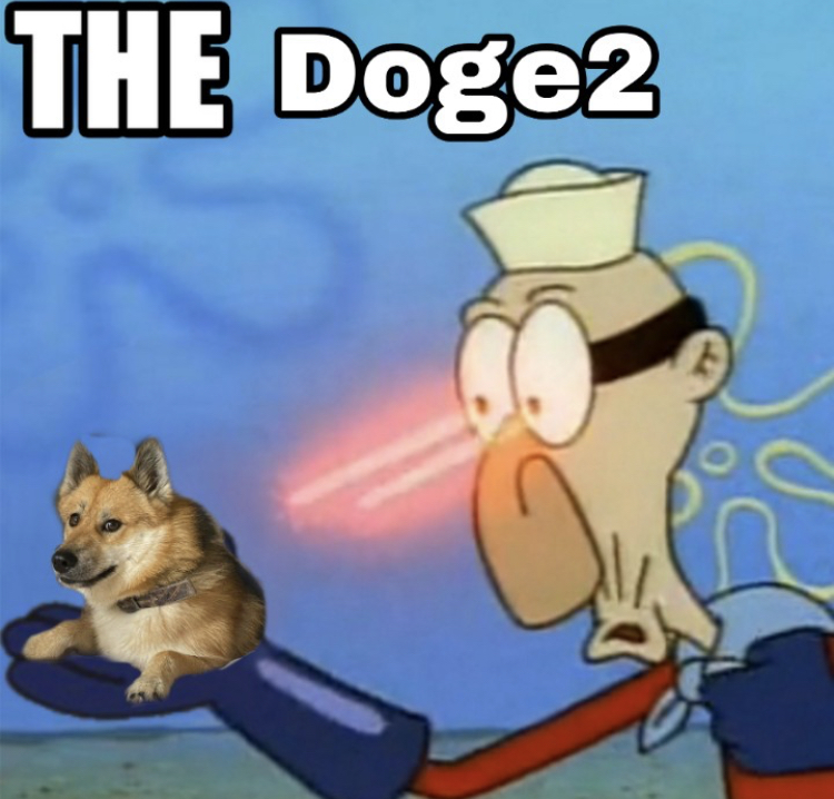 yankee with no brim meme - The Doge2