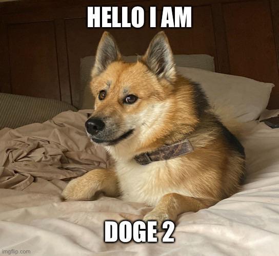 Dog - Hello I Am Doge 2 imgflip.com