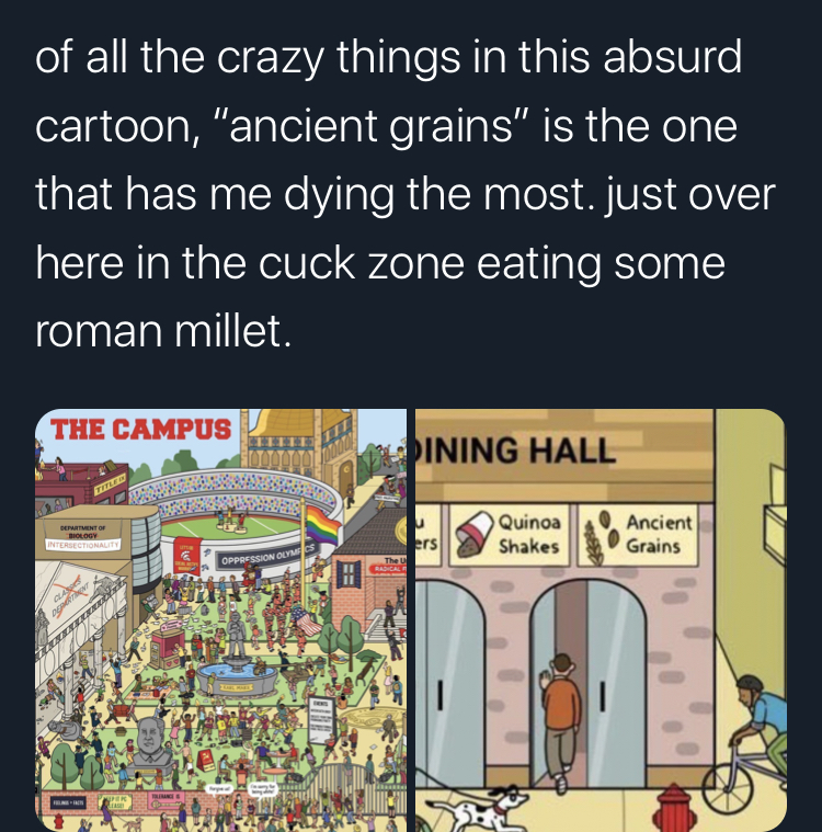 elite camps - of all the crazy things in this absurd, cartoon, "ancient grains" is the one that has me dying the most. just over here in the cuck zone eating some roman millet. The Campus Ining Hall 0 > Quinoa Shakes Ancient Grains