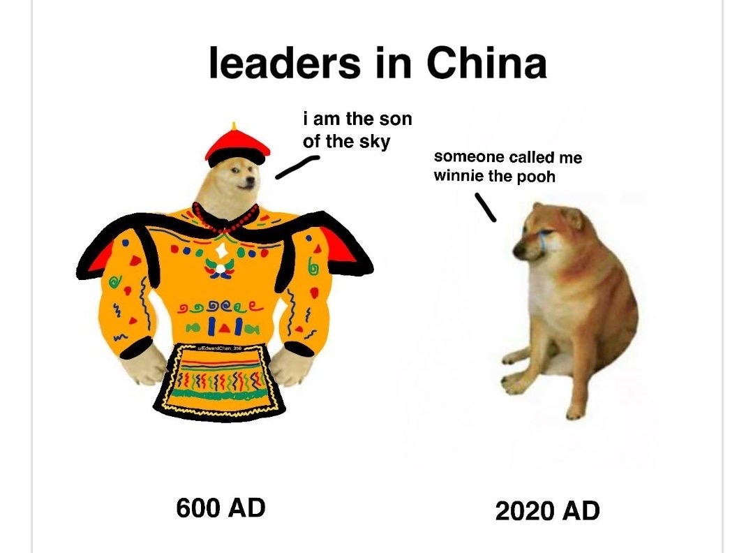 pet - leaders in China i am the son of the sky someone called me winnie the pooh Doseee m MWEdwardhan 950 600 Ad 2020 Ad