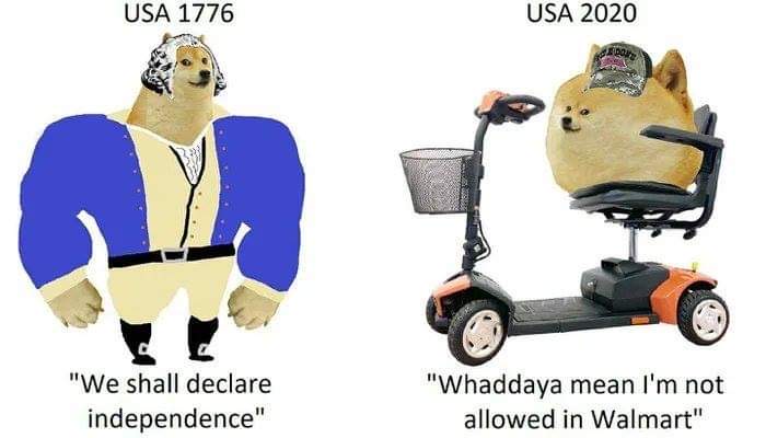 baby carriage - Usa 1776 Usa 2020 "We shall declare independence" "Whaddaya mean I'm not allowed in Walmart"