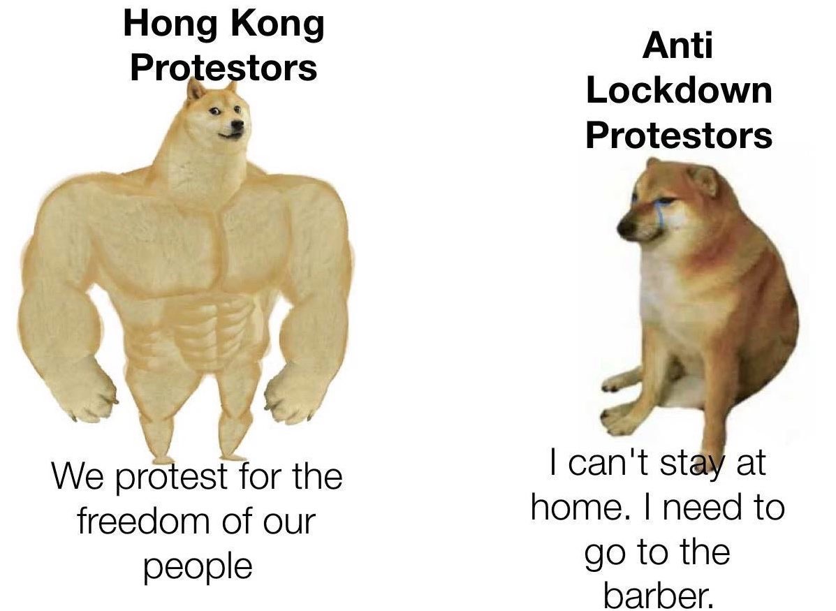 Buff Doge Meme Format