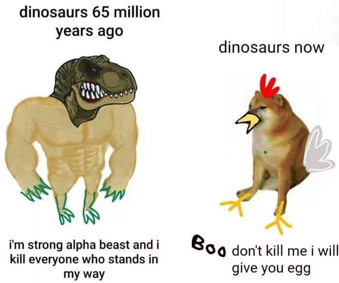 Dinosaur - dinosaurs 65 million years ago dinosaurs now w i'm strong alpha beast and i kill everyone who stands in my way Boo don't kill me i will give you egg