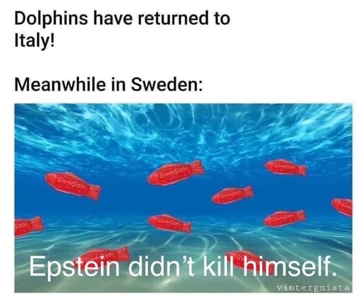 dolphins return to italy meaning - Dolphins have returned to Italy! Meanwhile in Sweden Swedish Swedish Swedish Seison Swedish Vish Epstein didn't kill himself. vintergnista