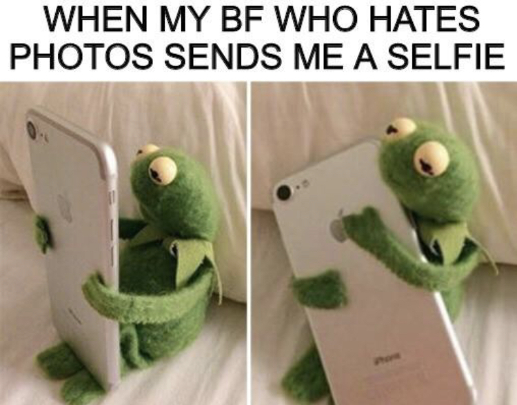 kingprotea meme - When My Bf Who Hates Photos Sends Me A Selfie