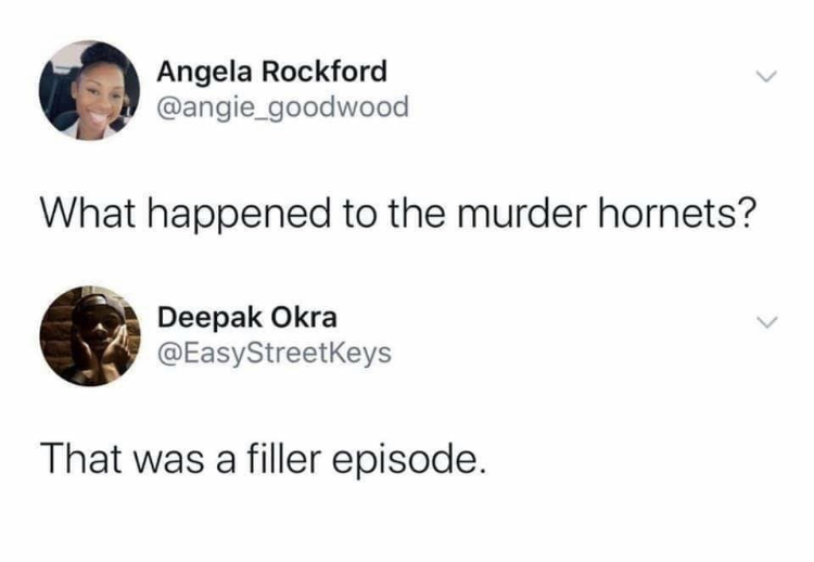 Angela Rockford What happened to the murder hornets? Deepak Okra That was a filler episode.