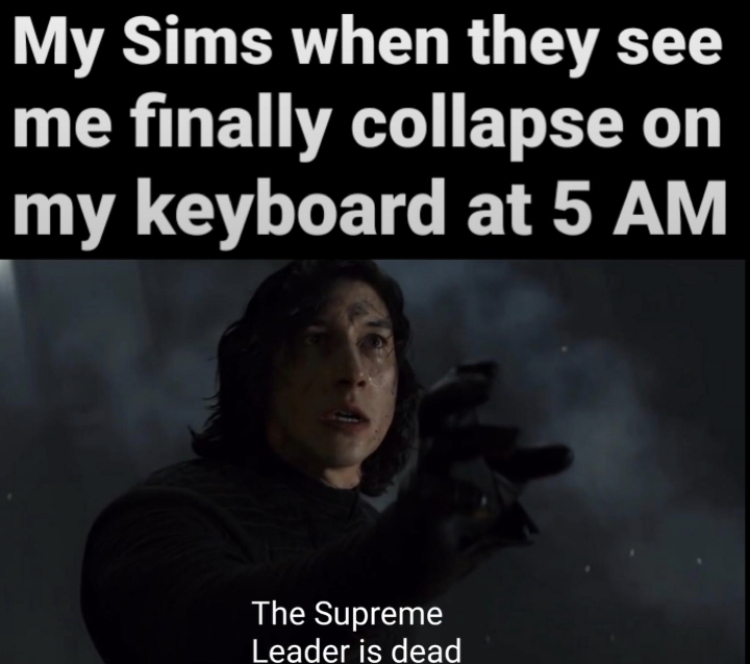 stupid people - My Sims when they see me finally collapse on my keyboard at 5 Am The Supreme Leader is dead