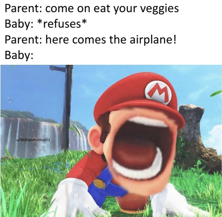 Parent come on eat your veggies Baby refuses Parent here comes the airplane! Baby uWiliamRobloxD