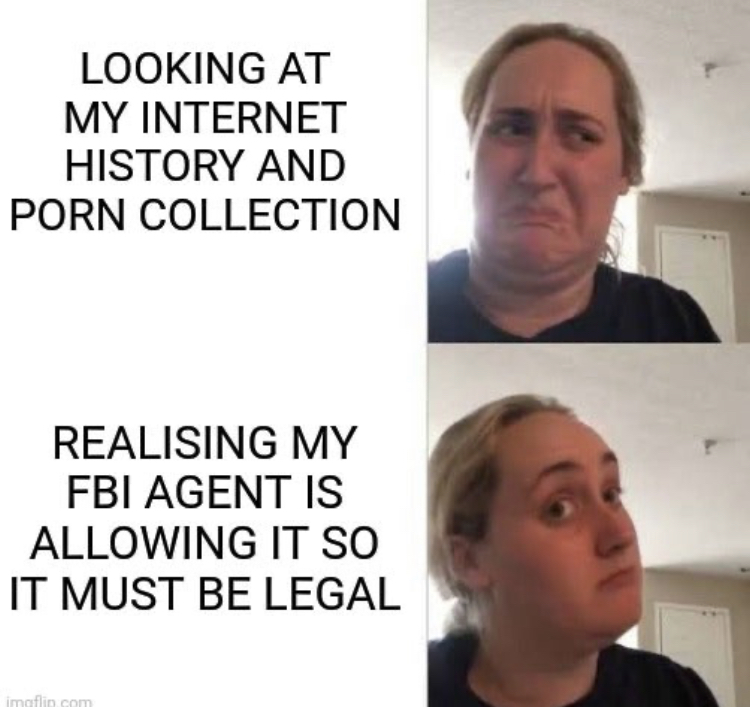 kombucha girl meme template - Looking At My Internet History And Porn Collection Realising My Fbi Agent Is Allowing It So It Must Be Legal imgflin com