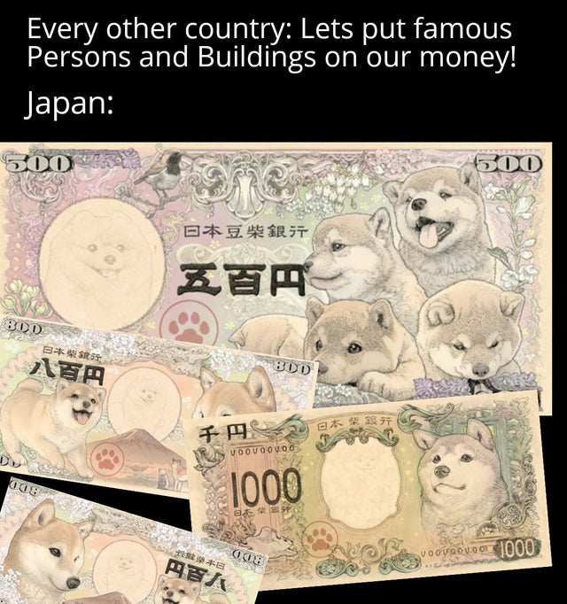 Every other country Lets put famous Persons and Buildings on our money! Japan 500 50D Bod 800 Voouoovo 11 1000 11 voy6009 0 10000