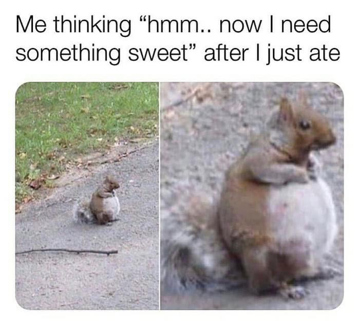 now i need something sweet meme - Me thinking "hmm.. now I need something sweet" after I just ate