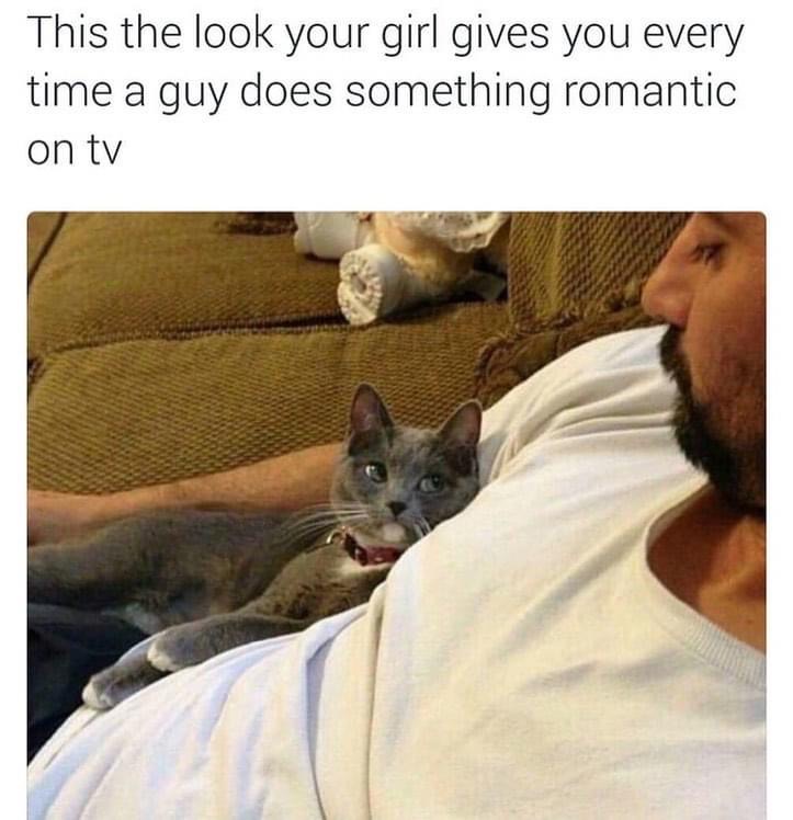 cat people meme - This the look your girl gives you every time a guy does something romantic on tv
