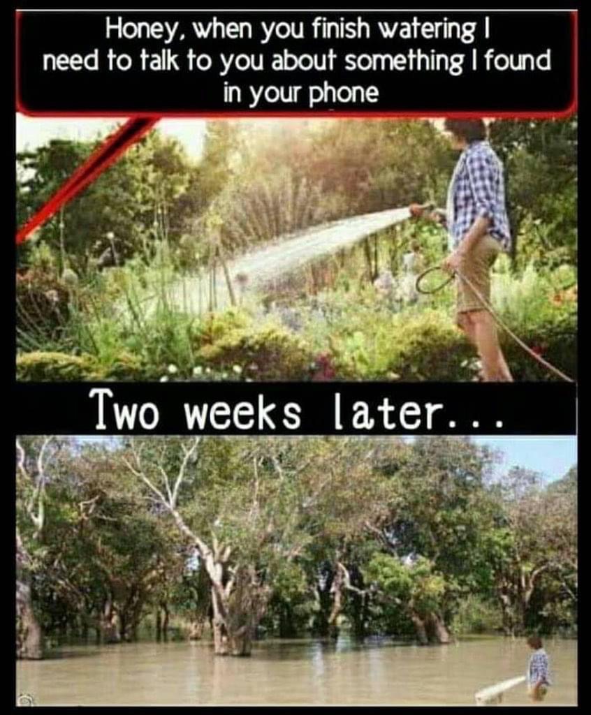 jokes funny memes - Honey, when you finish watering | need to talk to you about something I found in your phone Two weeks later...
