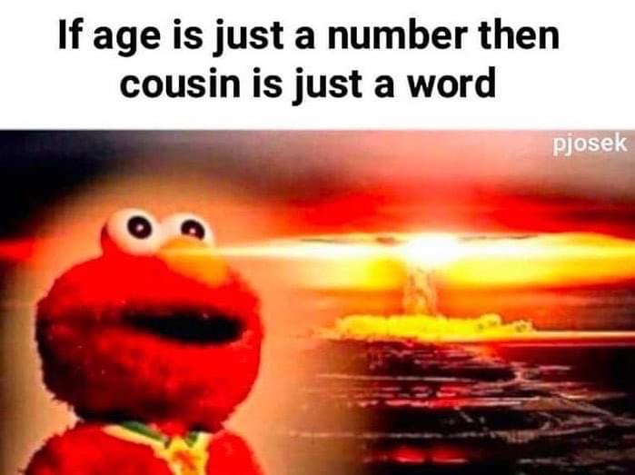 elmo explosion - If age is just a number then cousin is just a word pjosek