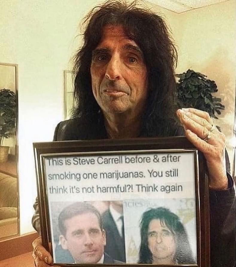 alice cooper steve carrell - This is Steve Carrell before & after smoking one marijuanas. You still think it's not harmful?! Think again Tires