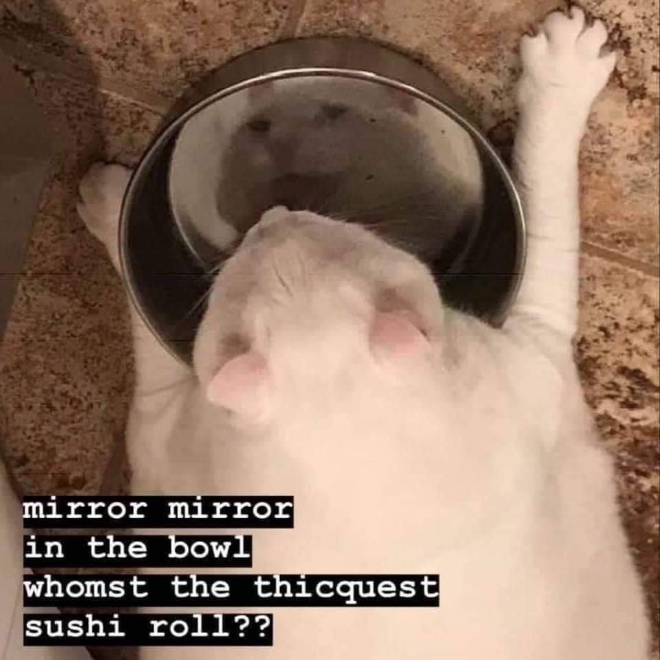 mirror mirror in the bowl whomst the thickest sushi roll - mirror mirror in the bowl whomst the thicquest sushi roll??