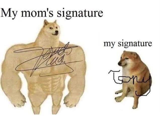 then vs now doge meme template - My mom's signature my signature no Tony