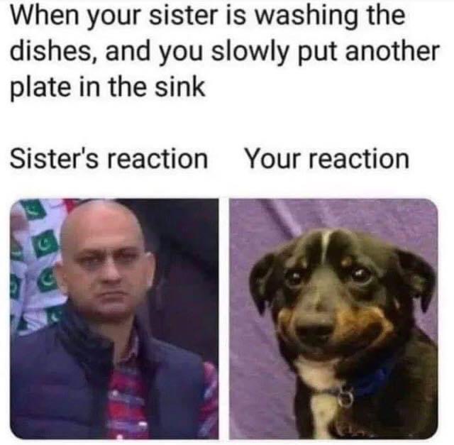your sister is washing dishes meme - When your sister is washing the dishes, and you slowly put another plate in the sink Sister's reaction Your reaction